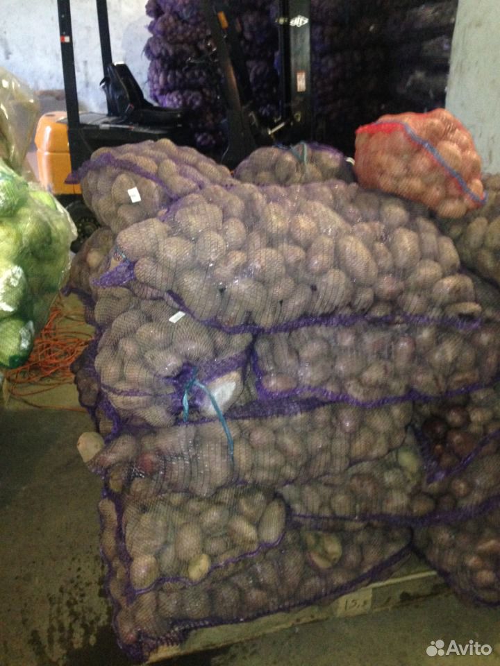 Продажа картофеля купить на Зозу.ру - фотография № 3