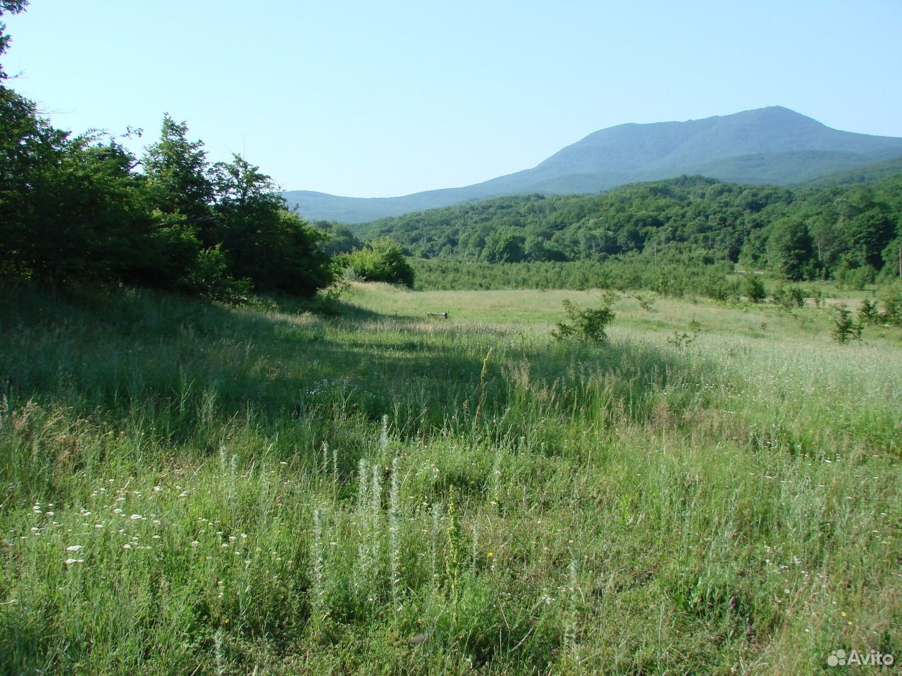 Станица азовская фото