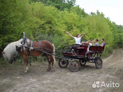 Лошадь, экипаж, карета купить на Зозу.ру - фотография № 1