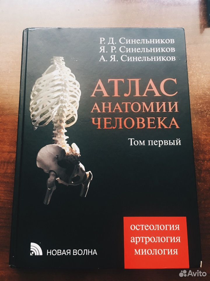 АТЛАС ПО АНАТОМИИ 1 ТОМ СИНЕЛЬНИКОВ СКАЧАТЬ БЕСПЛАТНО АТЛАС ПО АНАТОМИИ 1 ТОМ СИНЕЛЬНИКОВ СКАЧАТЬ БЕСПЛАТНО