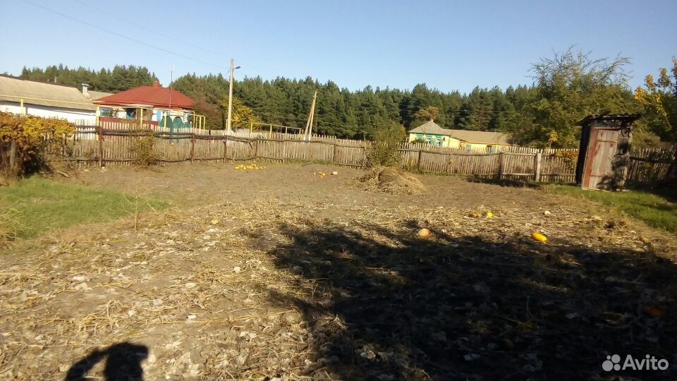 Подслушано петропавловка воронежская область. Село Пески Петропавловского района Воронежской области. Мое село Пески Петропавловского района Воронежской области. Петропавловский район село Пески улица Восточная 45. Администрация с Пески Петропавловского района Воронежской области.