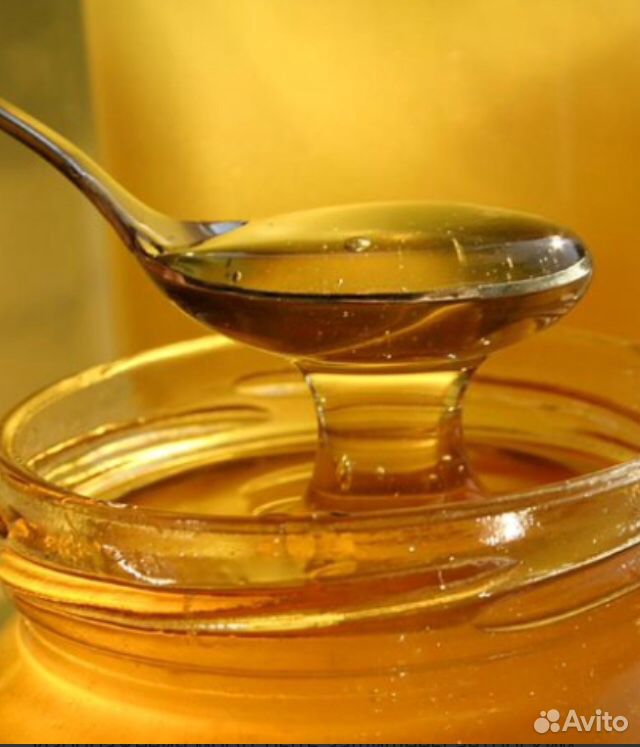 Продадим вкусный мед 2020 года купить на Зозу.ру - фотография № 2