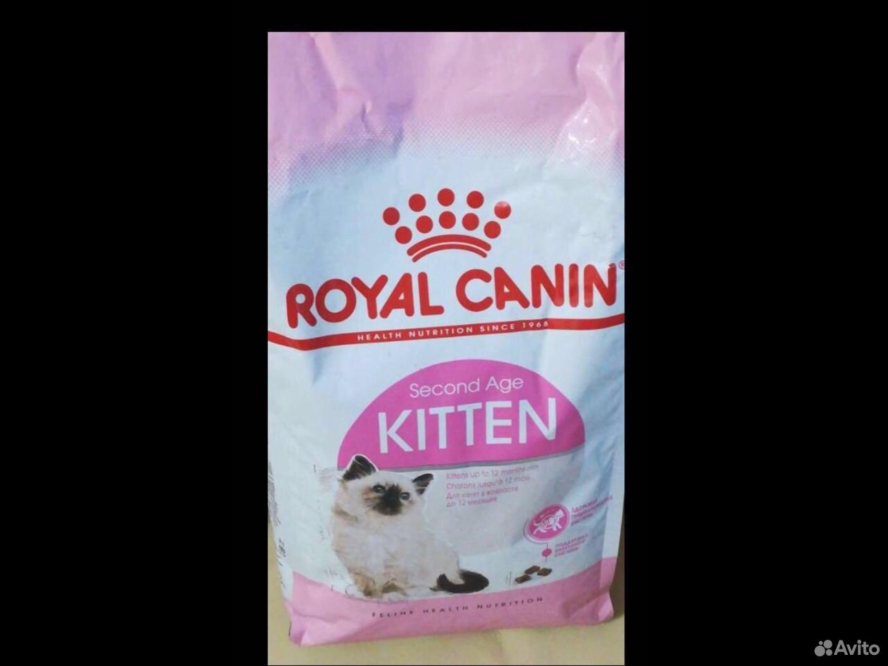 роял канин для котят до 4х месяцев. роял канин даст кошка. роял канин или проплан. роял канин для котят сухой корм. роял канин проплан.