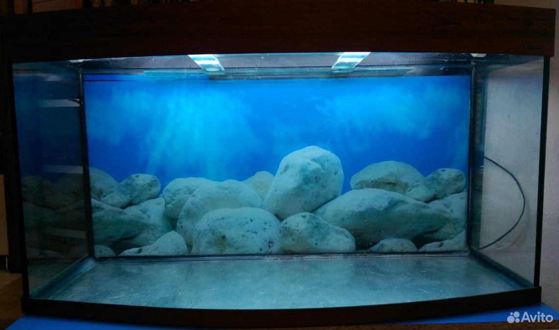 Панорамный аквариум 170л AquaPlus купить на Зозу.ру - фотография № 2