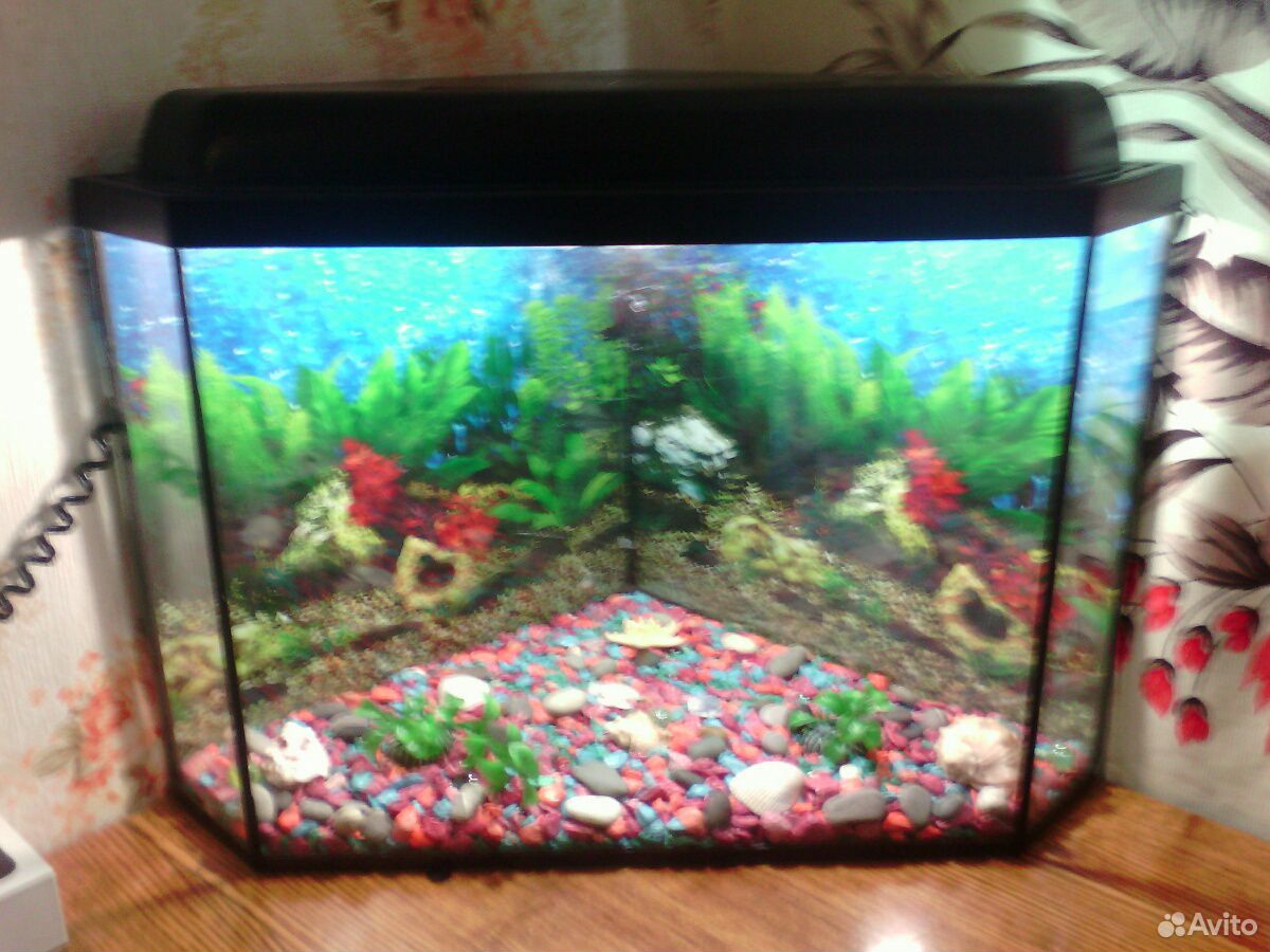 Продам аквариум, можно использовать, как ночник.Со купить на Зозу.ру - фотография № 1