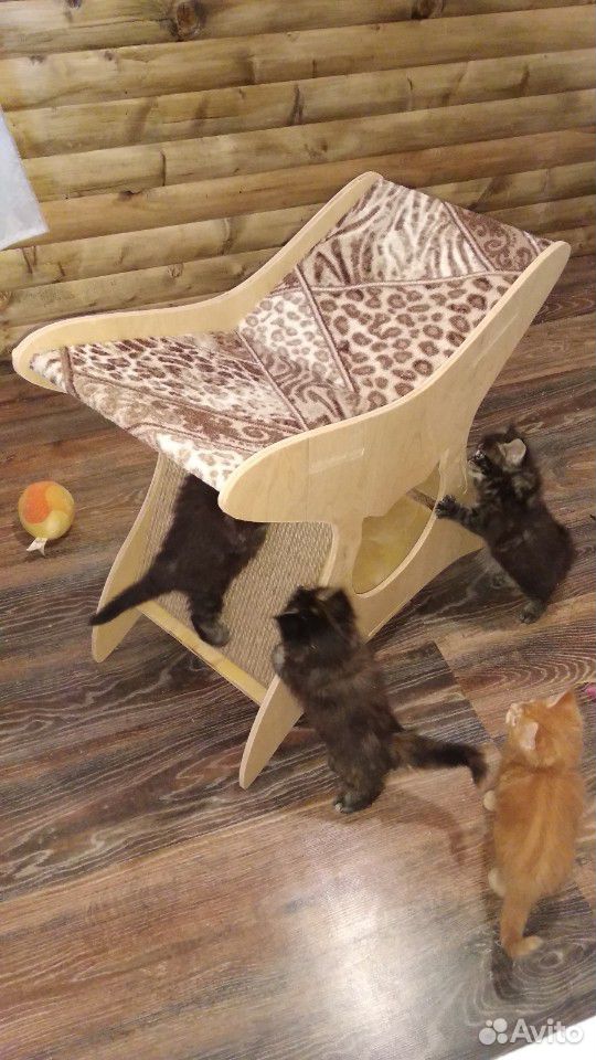 Домики для кошек купить на Зозу.ру - фотография № 9