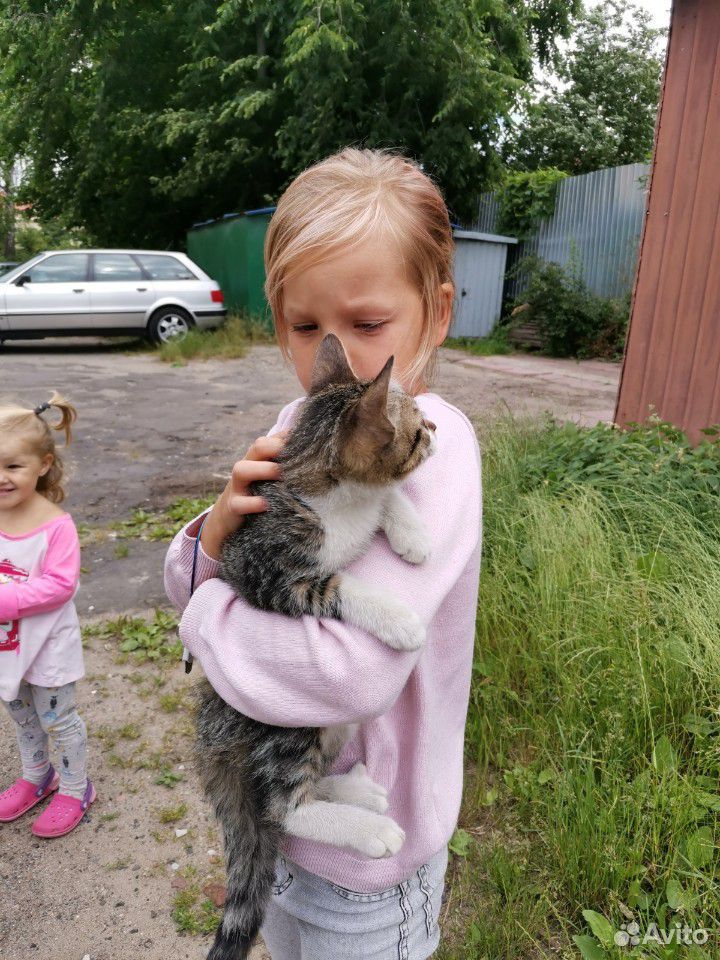 Котенок в хорошие руки купить на Зозу.ру - фотография № 2