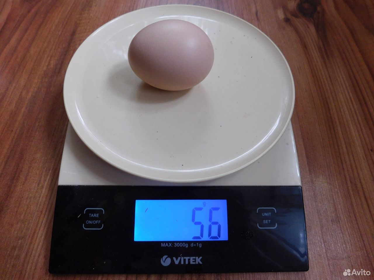 Инкубационное куриное яйцо купить на Зозу.ру - фотография № 3