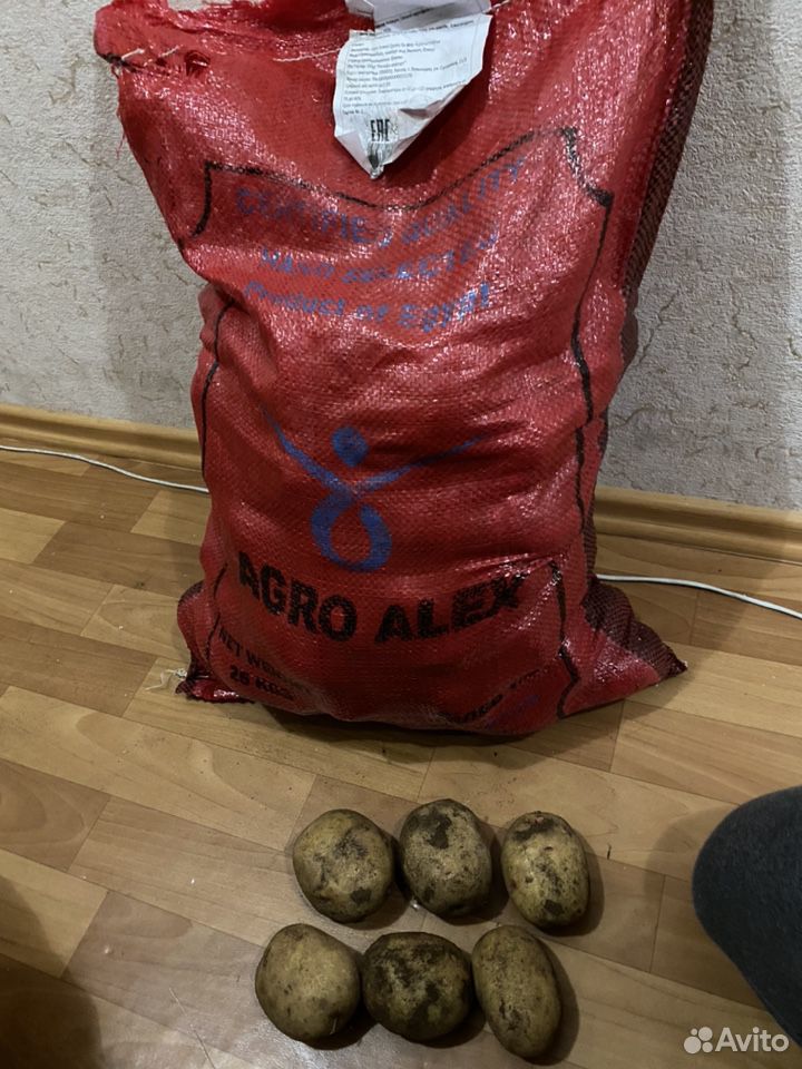 Отборный картофель купить на Зозу.ру - фотография № 1
