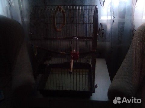 Большая клетка для попугаев купить на Зозу.ру - фотография № 2