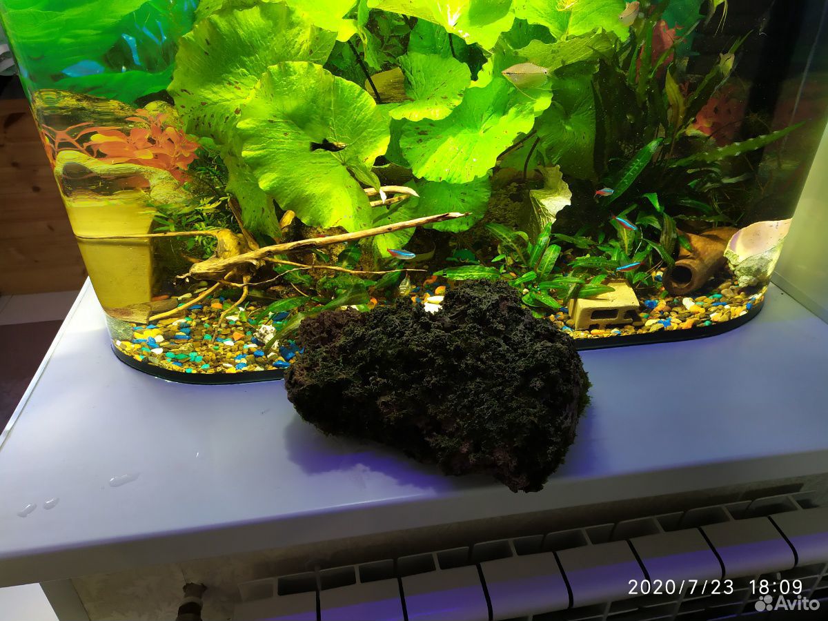 Красивые камни в аквариум купить на Зозу.ру - фотография № 3