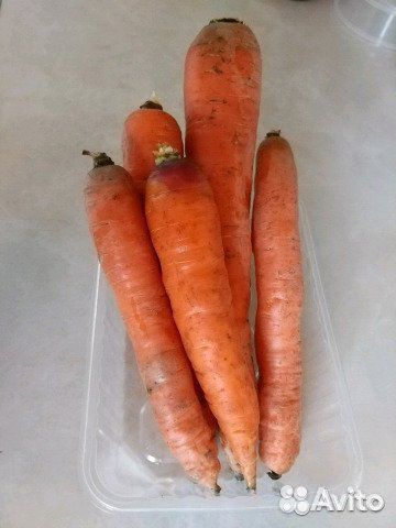 Морковь купить на Зозу.ру - фотография № 1