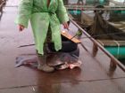 Рыбалка в Щеберино объявление продам