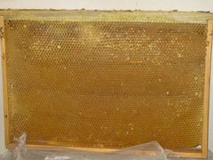 Продается сушь пчелиная