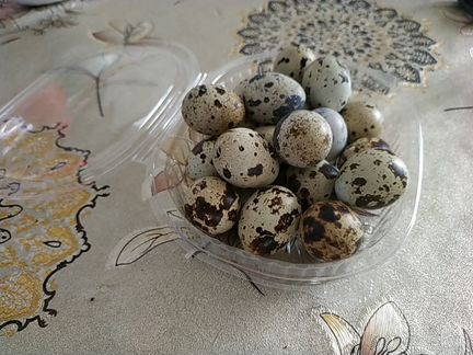 Перепелиные яйца по 3 рудля