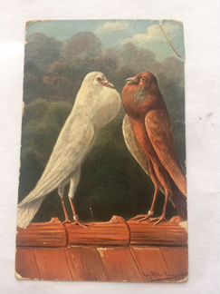 Почтовая открытка-1907года