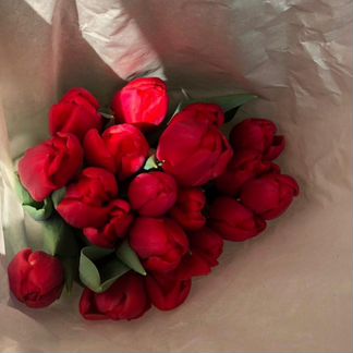 Тюльпан(цветы) опт