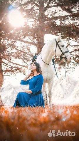 Фотограф/ Клипмейкер / Свадьбы / и прочее