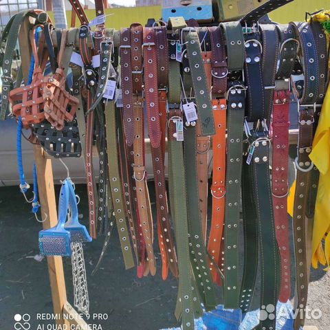 Амуниция для собак