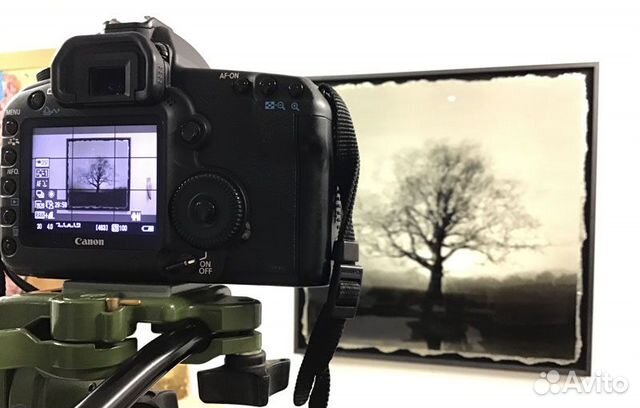 Фото картин, скульптуры, графики