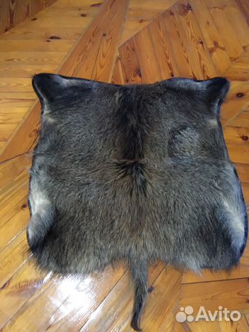 Шкура кабана