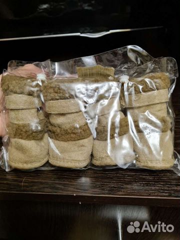 Одежда для собак