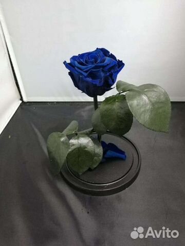Роза в колбе оптом и в розницу