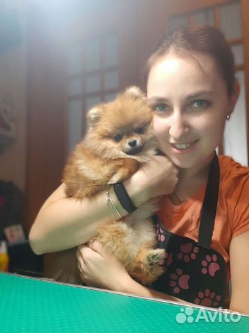 Стрижка собак