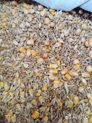 С/Х Корма С доставкой