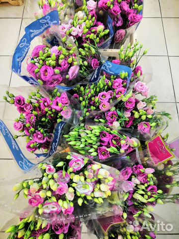 Эустома. Лизиантус. Оптом и в розницу