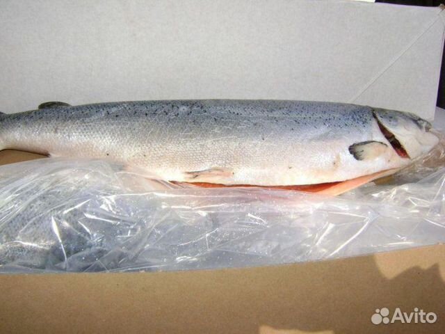 Рыба лосось, филе лосося (сёмги)