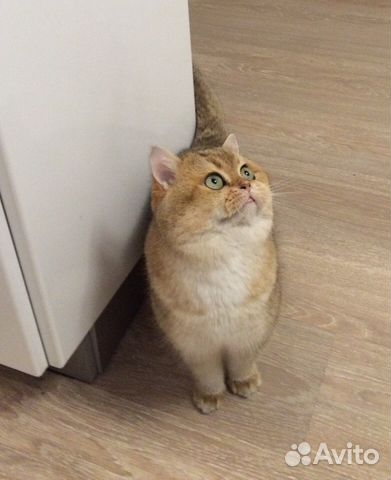 Вязка