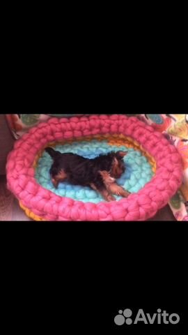 Лежанка для собак и кошек Лежанка для собак и кошек