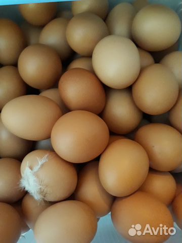 Продам яйцо куриное домашнее(деревенское)