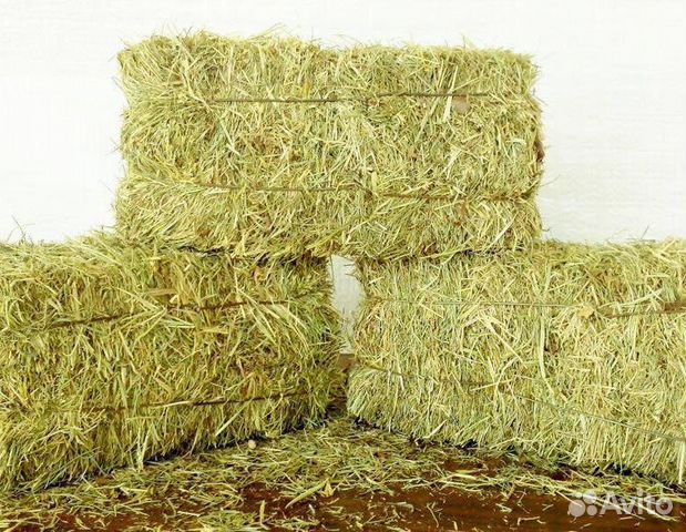 Продам сено (2023г) в брикетах