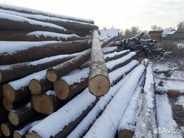 Липа для отделки бани в Москве