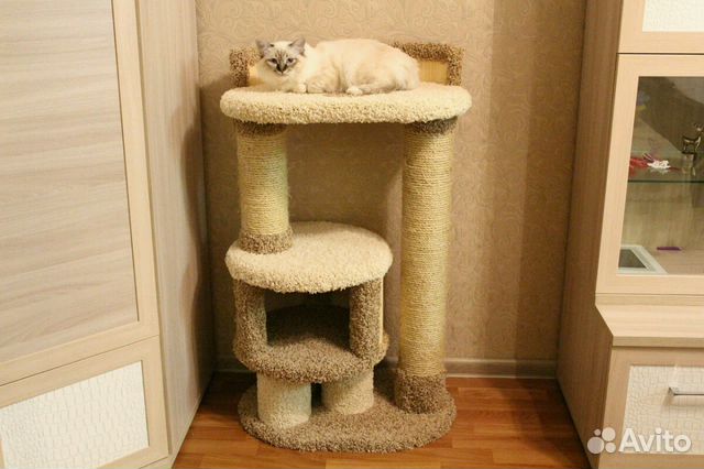 Домик для кошек купить на Зозу.ру - фотография № 5