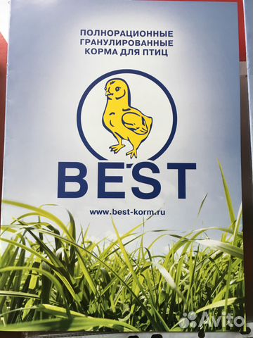Комбикорм "Best" купить на Зозу.ру - фотография № 1