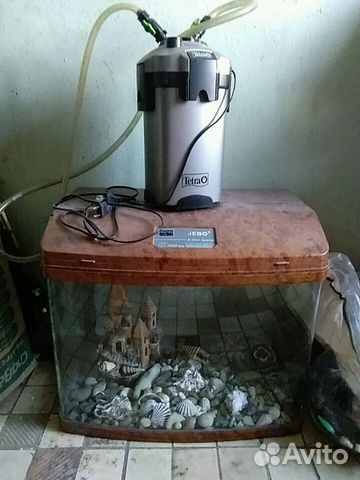 Панорамный аквариум на 100 литров купить на Зозу.ру - фотография № 1