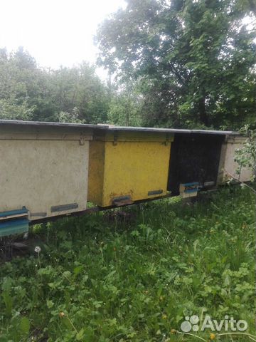 Продам улья лежаки системы (дадан) на 20 и 23 рам