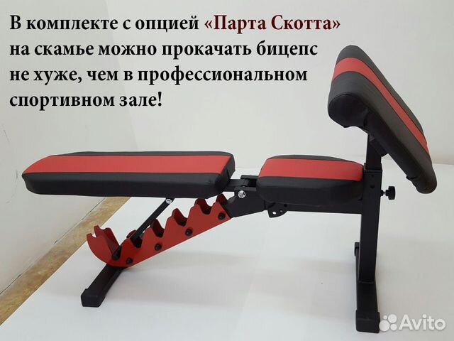 Скамья для жима лежа Orion