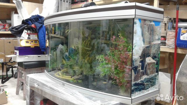 Панорамный аквариум 250л.со всем оборудованием купить на Зозу.ру - фотография № 2