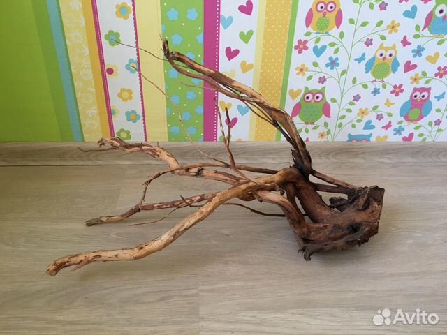 Коряга в аквариум террариум (корень Ивы) Коряга в аквариум террариум (корень Ивы)