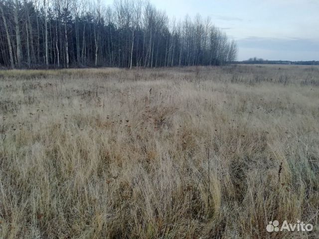 Участок 4.6 га (ИЖС)