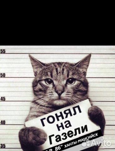 Грузоперевозки Грузоперевозки