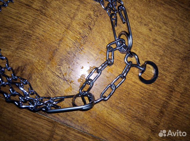 Строгий ошейник