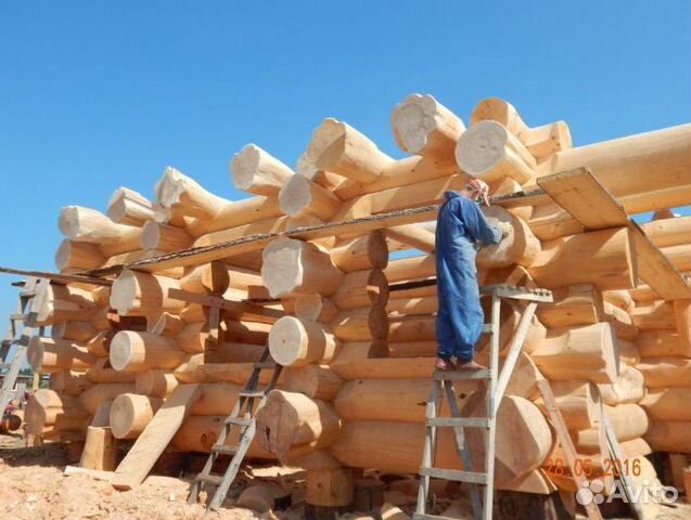 Сруб бани в диком стиле. Дикий сруб. Сборка