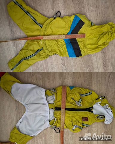 Одежда для собак