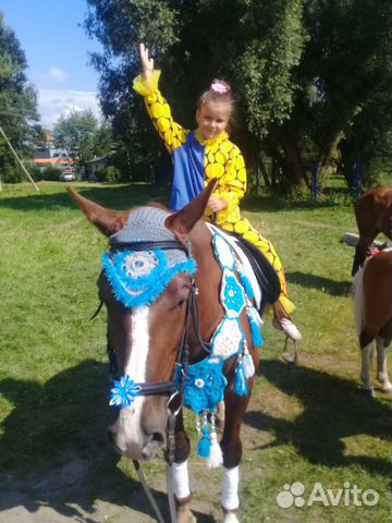 Рабочая лошадь купить на Зозу.ру - фотография № 5