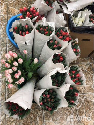 Тюльпаны (на срезе), опт-от 32 р, Розница-от 45 р Тюльпаны (на срезе), опт-от 32 р, Розница-от 45 р